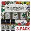 3 Pack - Aromatherapy Essential Oils Gift Set For Humidifiers Oil Diffuser Mist