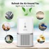 KOIOS Air Purifier for Home, Small Air Purifiers with True HEPA Filter, Air Cleaner for Bedroom Office 219ft², Remove Smoke Dust Pollen Pet Dander, Pr