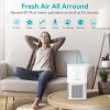 KOIOS Air Purifier for Home, Small Air Purifiers with True HEPA Filter, Air Cleaner for Bedroom Office 219ft², Remove Smoke Dust Pollen Pet Dander, Pr